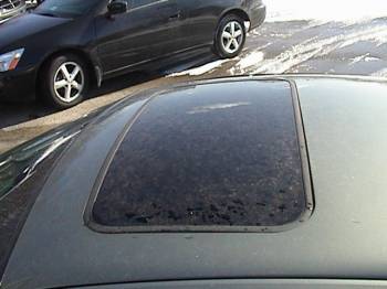 Ford Taurus 2001, Picture 6