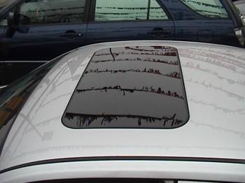 Infiniti G35 2003, Picture 9